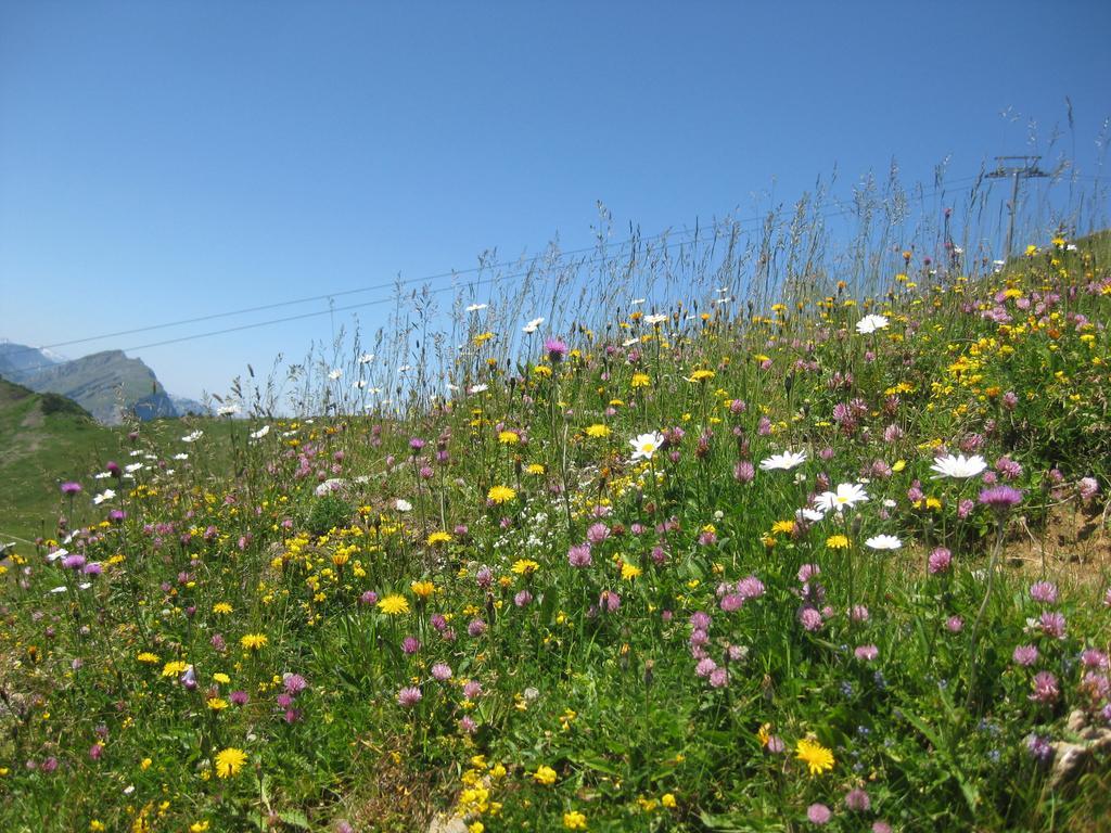 ホテル Haus Sonnseite Au (Vorarlberg) エクステリア 写真